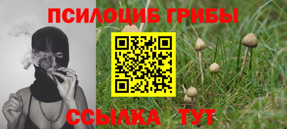 Галлюциногенные грибы мицелий  Вход с VPN  Шебекино 